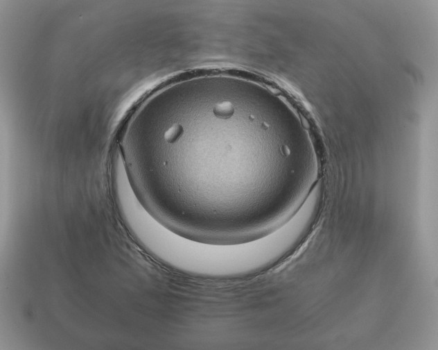X0000115061167200911091440