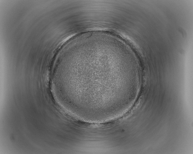X0000115061169200911091440