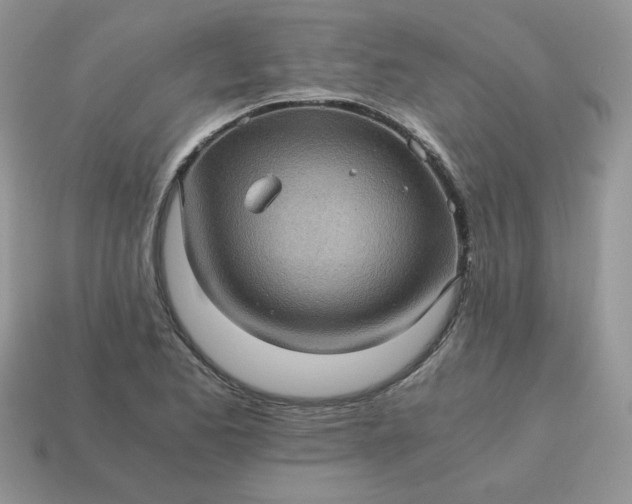 X0000115061173200911091440