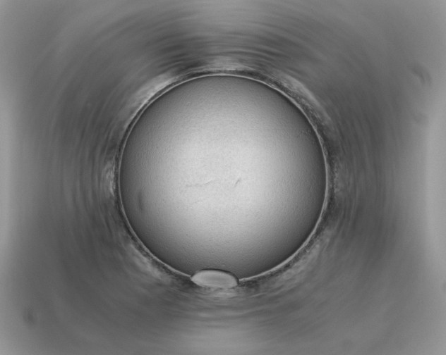 X0000115061177200911091440