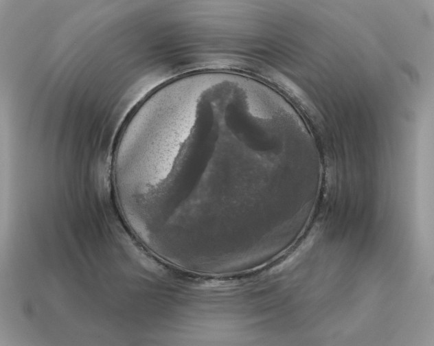 X0000115061178200911091440