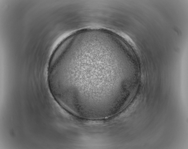 X0000115061183200911091440
