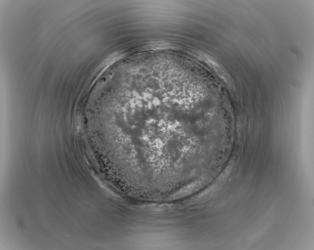X0000115061185200911091440