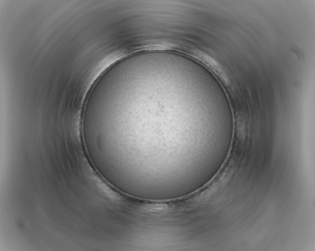 X0000115061186200911091440