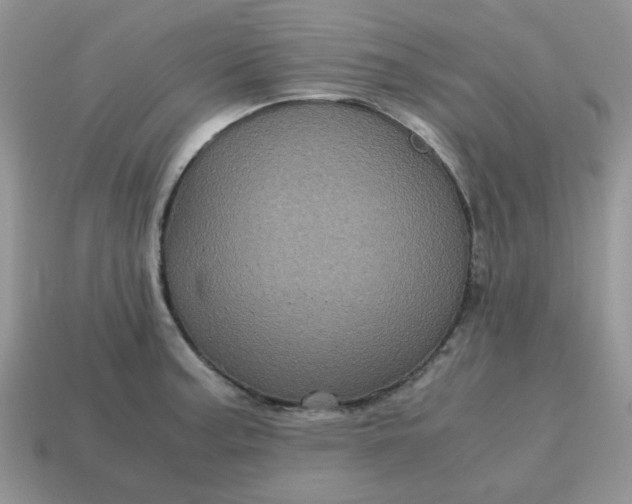X0000115061187200911091440
