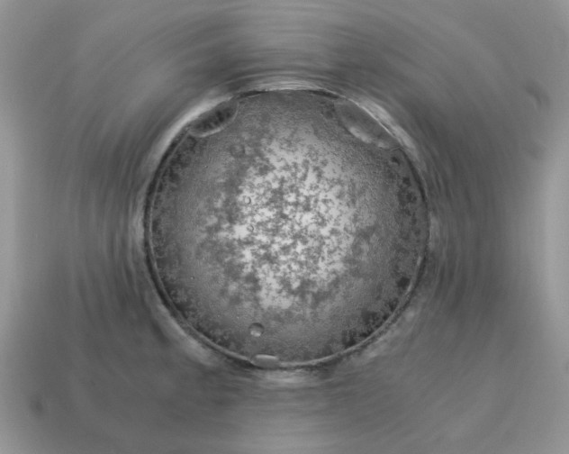 X0000115061189200911091440