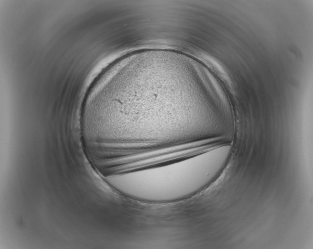 X0000115061192200911091440