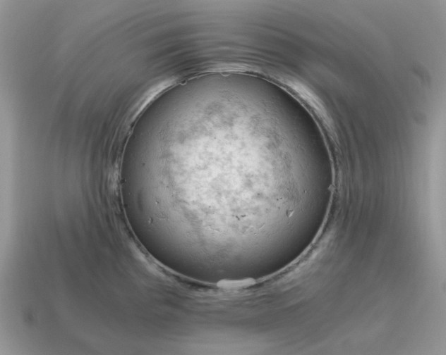 X0000115061193200911091440