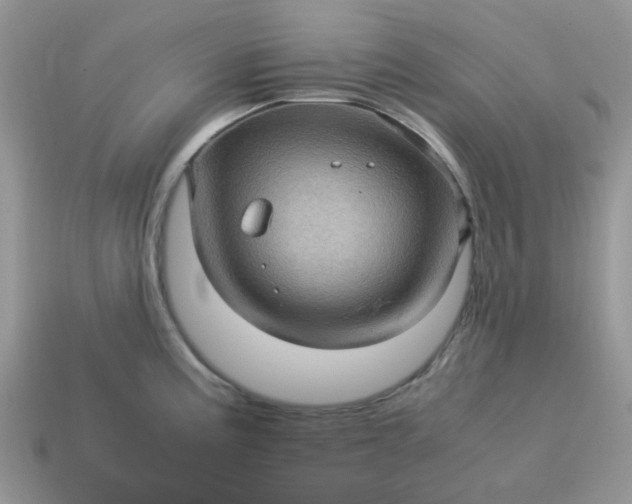 X0000115061195200911091439