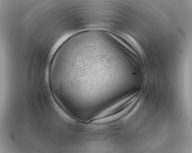 X0000115061196200911091439