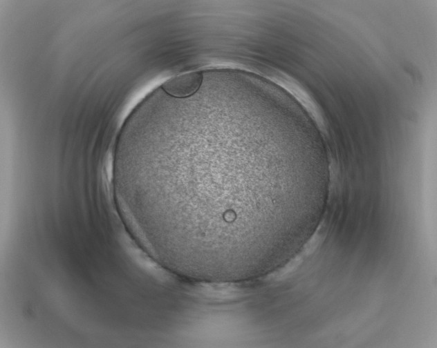 X0000115061198200911091439