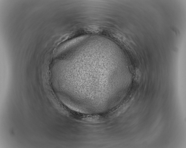 X0000115061201200911091439