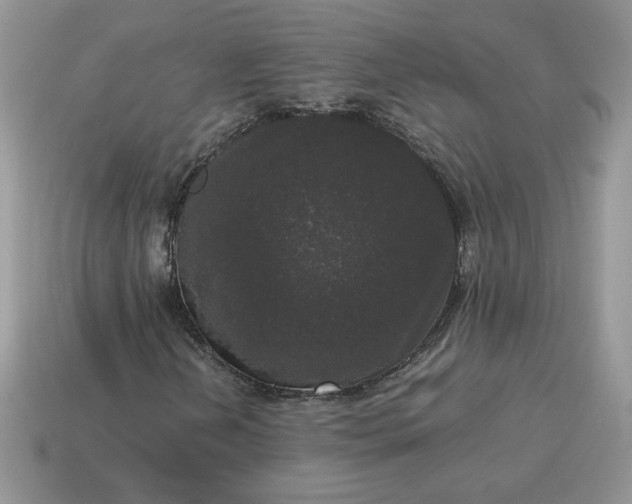 X0000115061202200911091439
