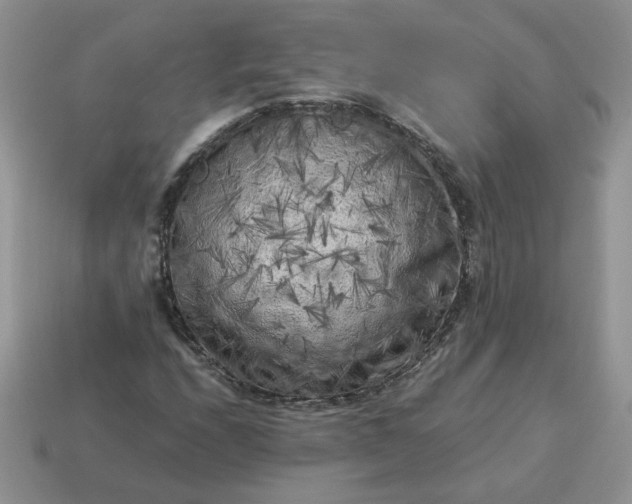 X0000115061208200911091439