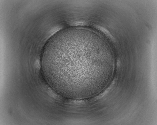 X0000115061209200911091439