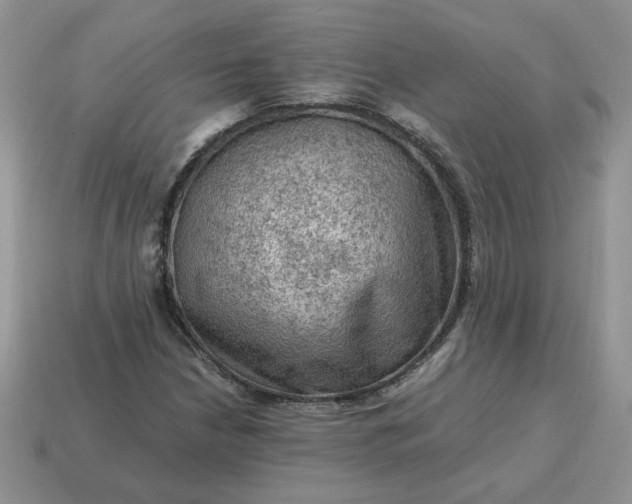 X0000115061210200911091439
