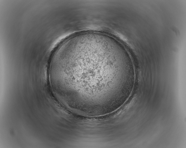 X0000115061214200911091439
