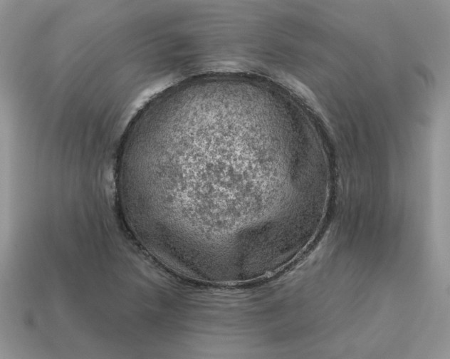 X0000115061218200911091439