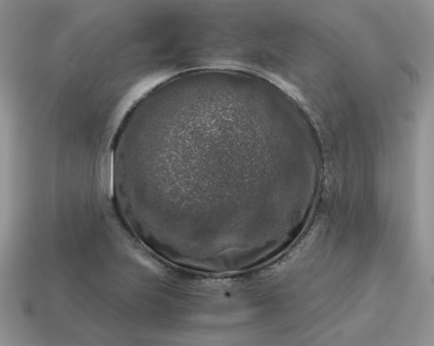 X0000115061223200911091439