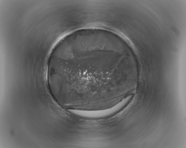 X0000115061224200911091439