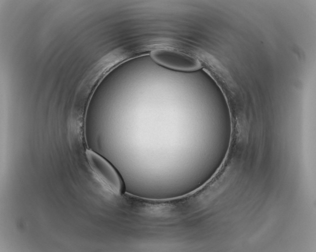 X0000115061225200911091439