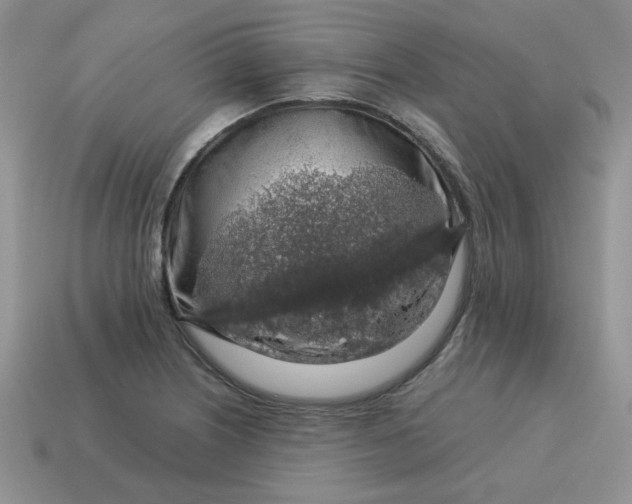 X0000115061226200911091439