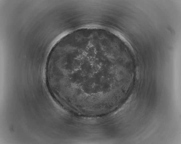 X0000115061229200911091439