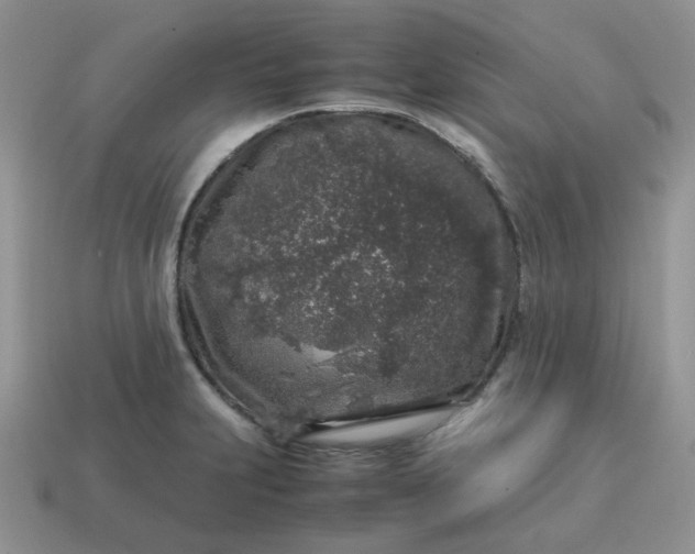 X0000115061231200911091439