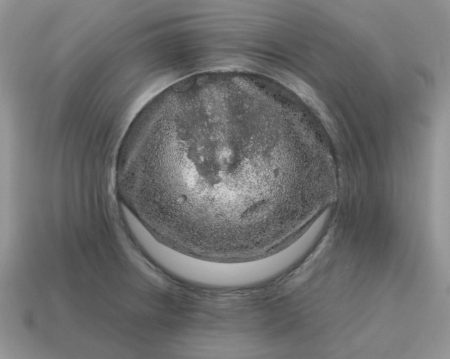 X0000115061234200911091439