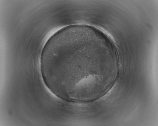 X0000115061239200911091439