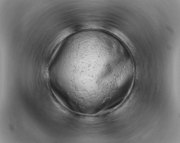 X0000115061241200911091439