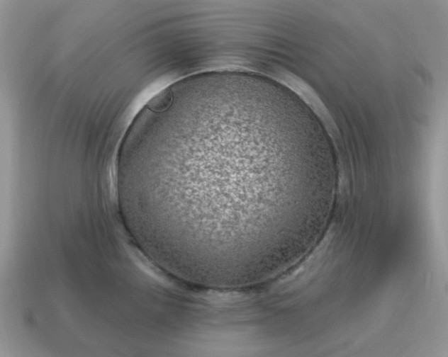 X0000115061242200911091439