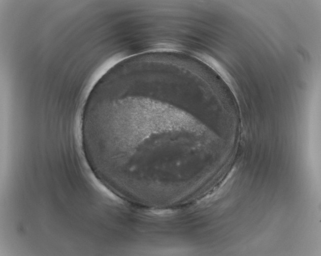 X0000115061243200911091439