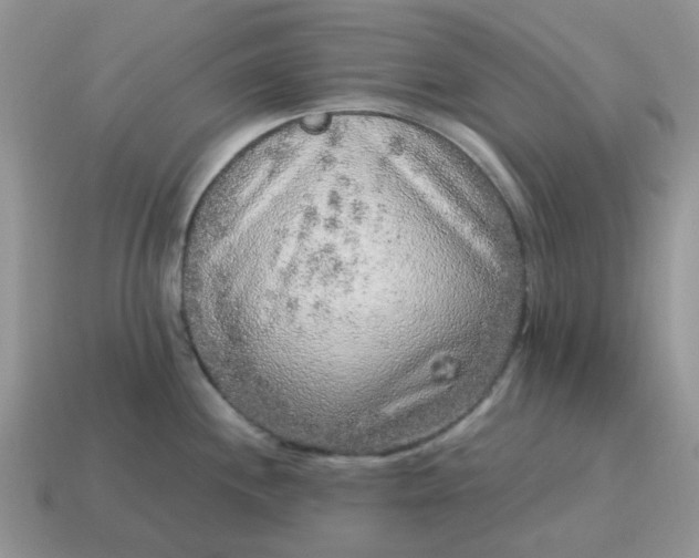 X0000115061244200911091439