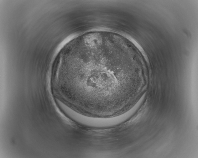 X0000115061245200911091439