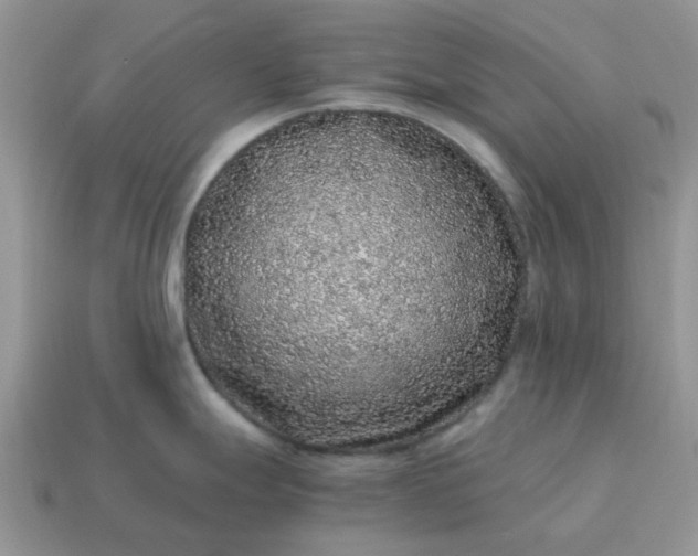 X0000115061247200911091439