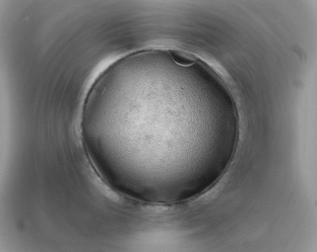 X0000115061248200911091439