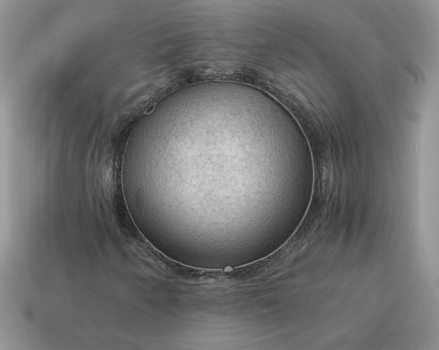 X0000115061250200911091439