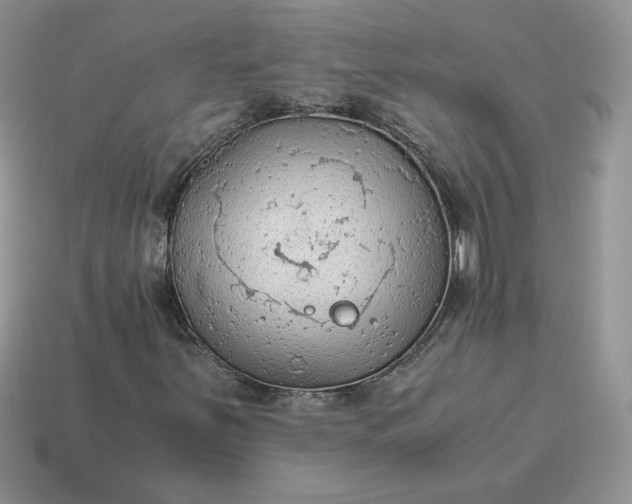 X0000115061251200911091439