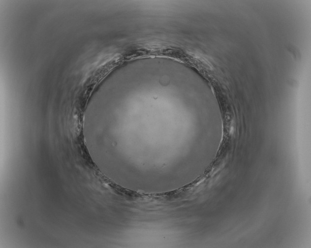 X0000115061253200911091439