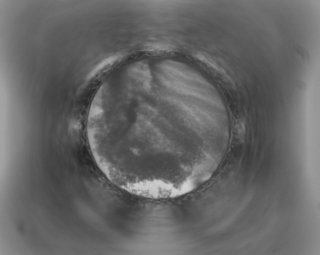 X0000115061254200911091439