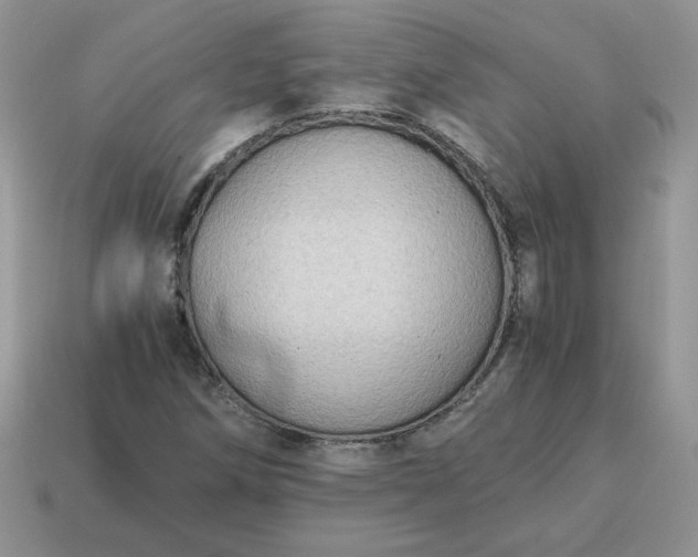 X0000115061258200911091439