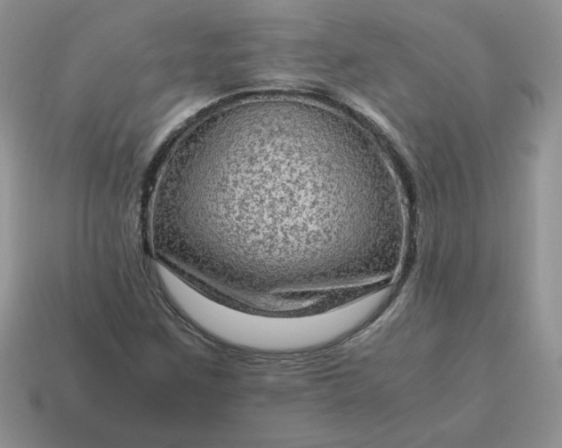 X0000115061259200911091439