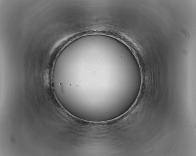 X0000115061262200911091438