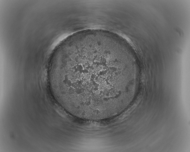 X0000115061263200911091438