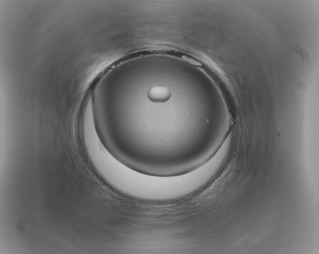X0000115061269200911091438