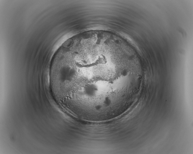 X0000115061274200911091438