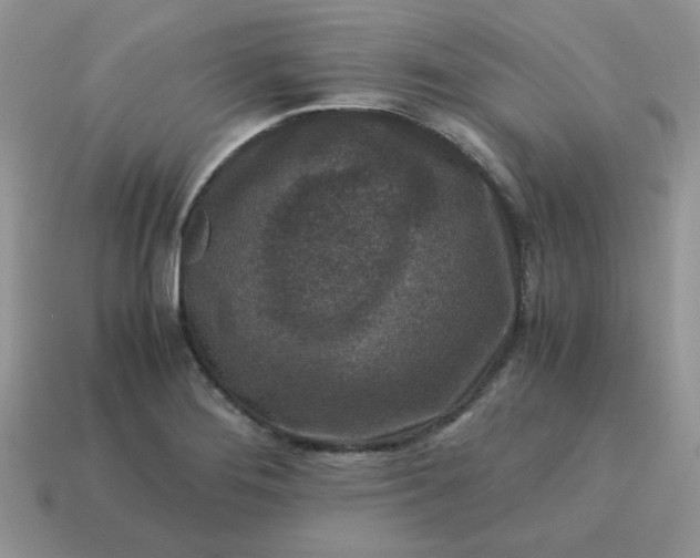 X0000115061276200911091438