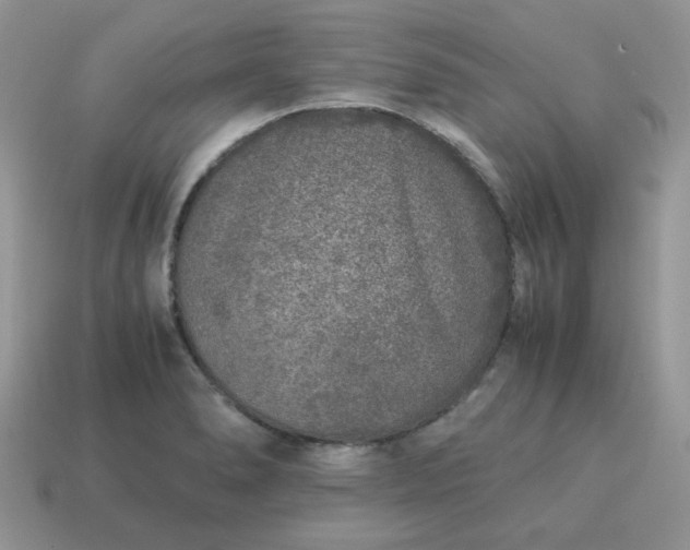 X0000115061278200911091438