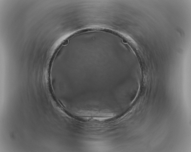 X0000115061279200911091438